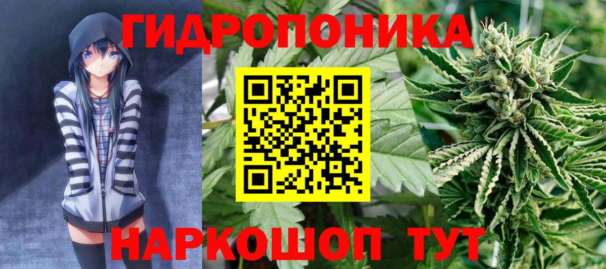 Марихуана LSD WEED  Бошки марихуана гибрид  Вход с VPN  Нижнекамск  Марихуана ГИДРОПОН 